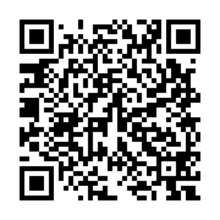 QR code for VN3198