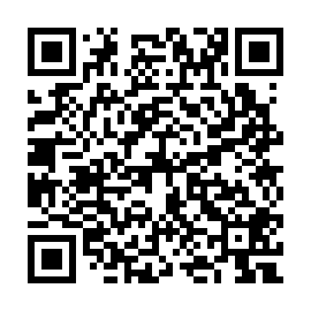 QR code for VN3308