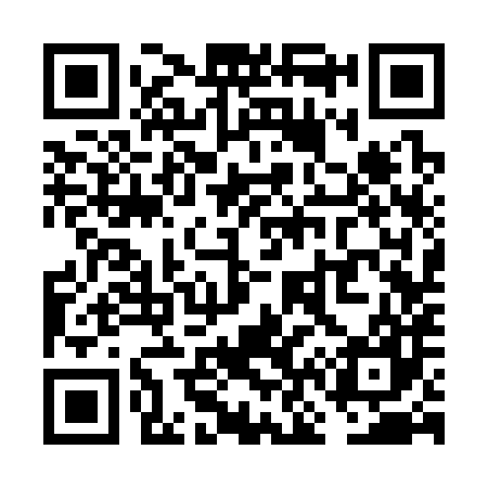 QR code for VN3387