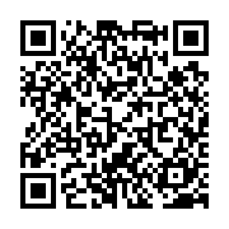 QR code for VN3725