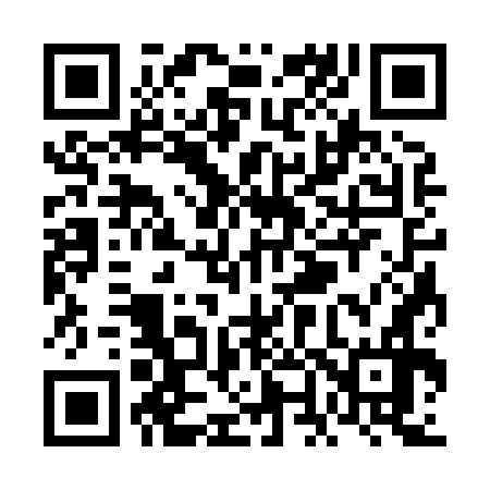 QR code for VN3876