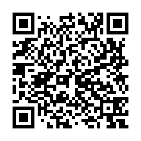 QR code for VN3938