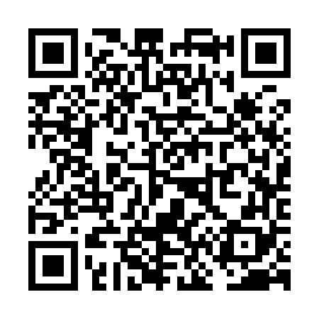 QR code for VN3968