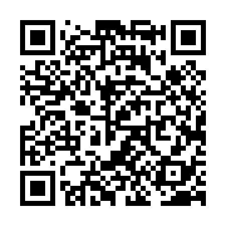 QR code for VN4038