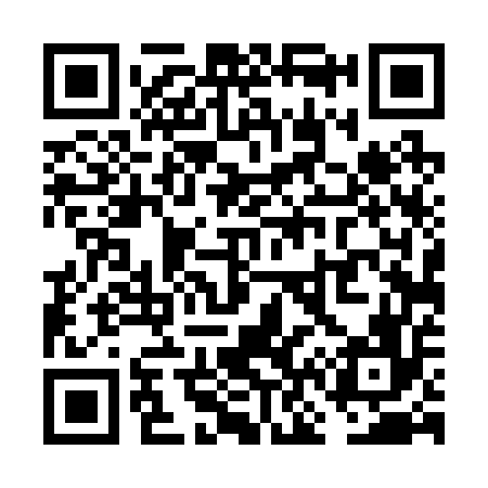 QR code for VN4256