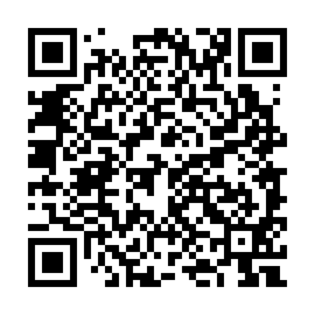 QR code for VN4391