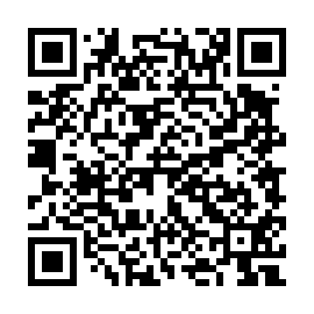 QR code for VN4411