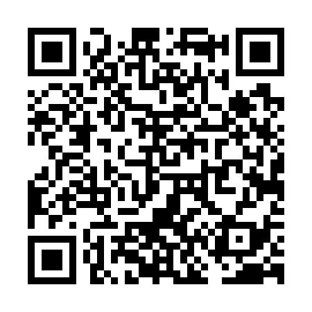 QR code for VN4739
