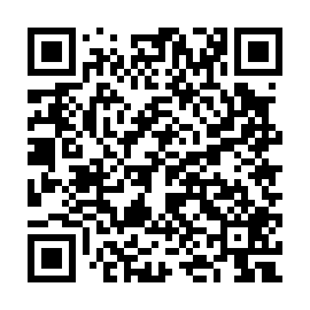 QR code for VN5009