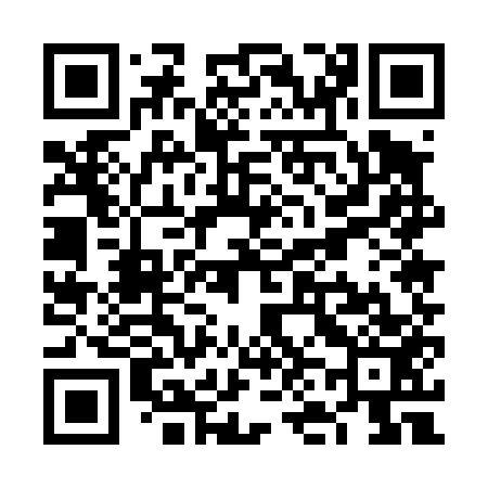 QR code for VN5453