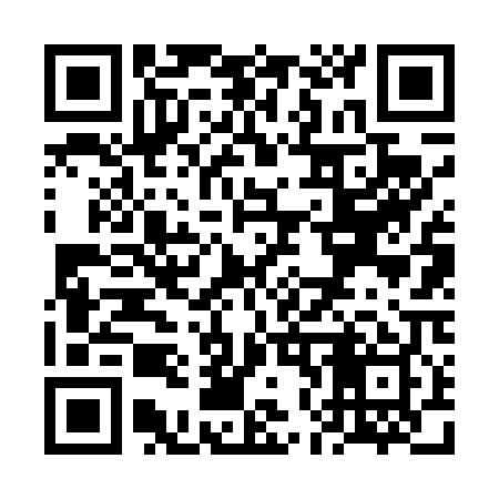 QR code for VN6409