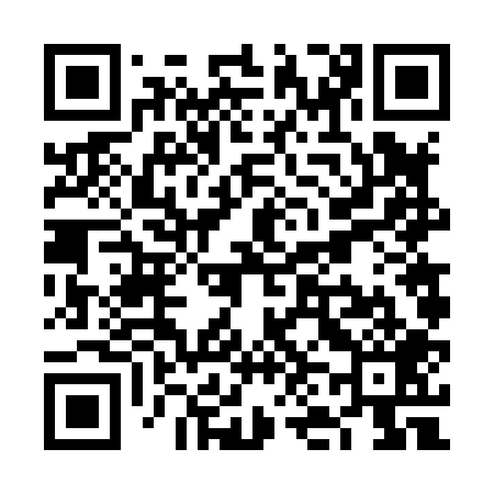 QR code for VN6809