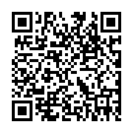 QR code for VN6955