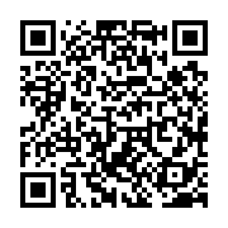 QR code for VN8738