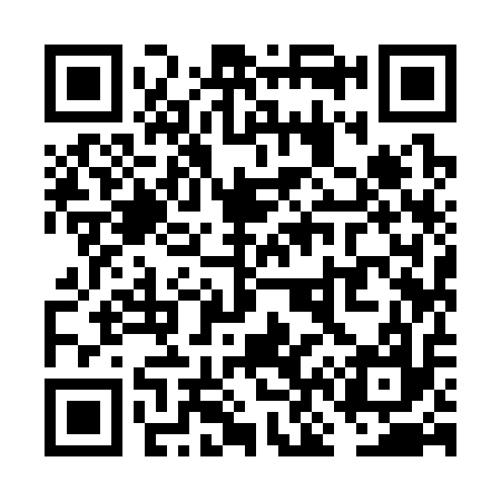 QR code for VN9317
