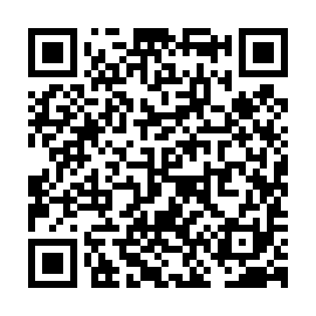 QR code for VN9491