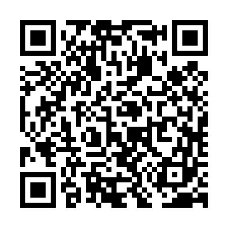 QR code for VO2463