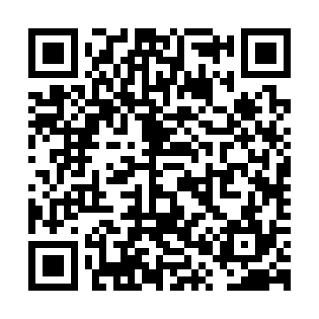 QR code for VP2334