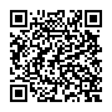 QR code for VP3006