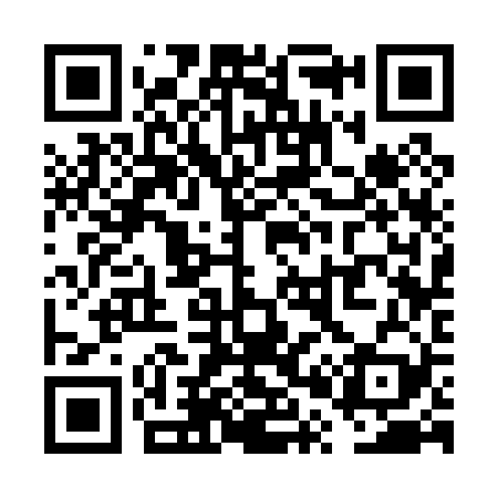 QR code for VP3029