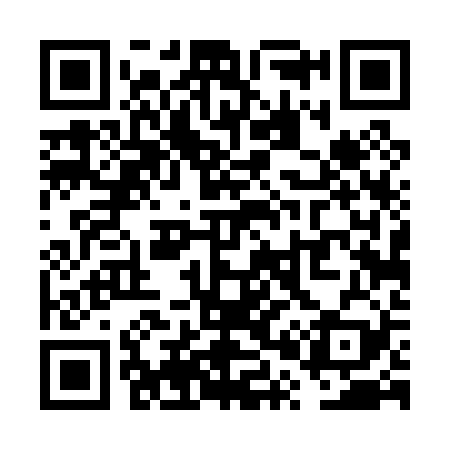 QR code for VP4029