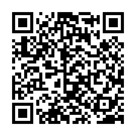 QR code for VP4038
