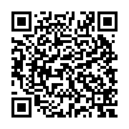 QR code for VP4219