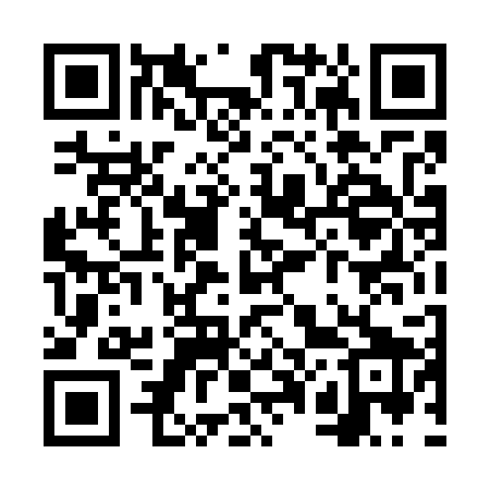 QR code for VP4729