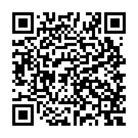 QR code for VP5386