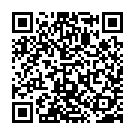 QR code for VP6389