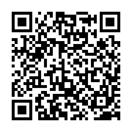 QR code for VP6397