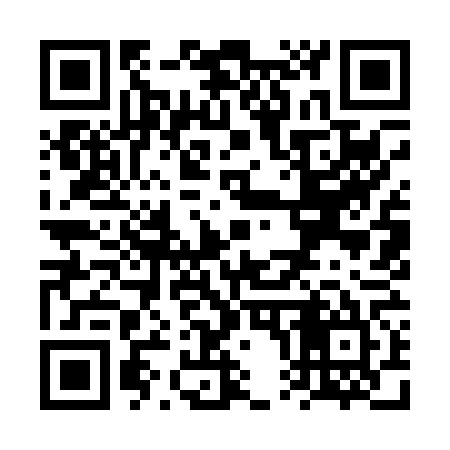 QR code for VP9065