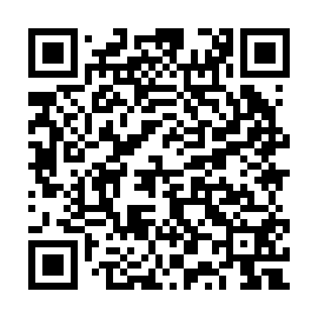 QR code for VP9250