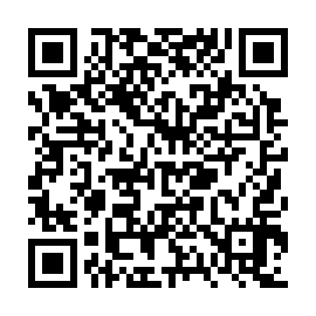 QR code for VQ0317