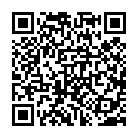 QR code for VQ0419