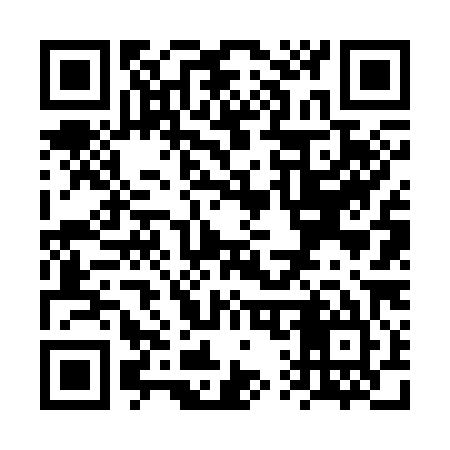 QR code for VQ6385