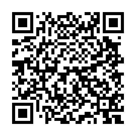 QR code for VR0011
