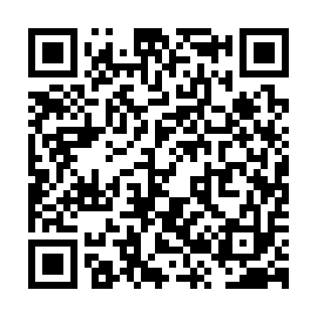 QR code for VR1313