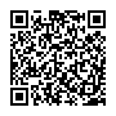 QR code for VR2493
