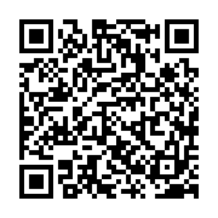 QR code for VR8313