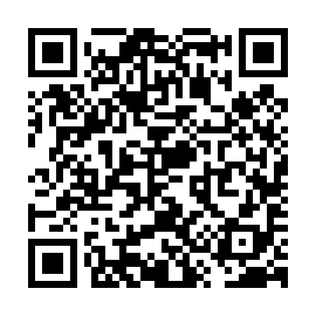 QR code for VS6498