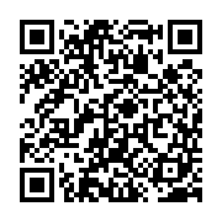 QR code for VS9541