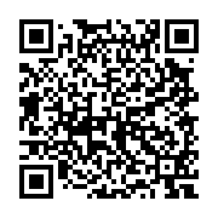 QR code for VT0091
