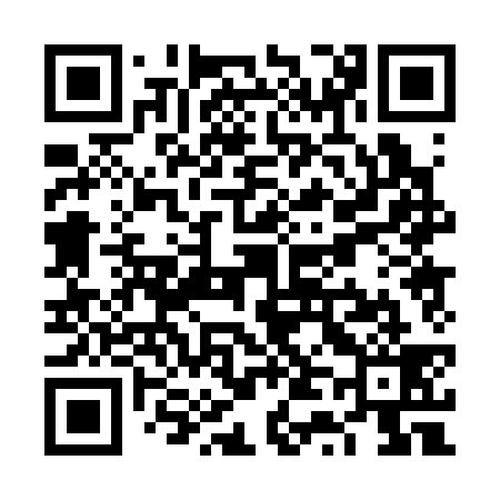QR code for VT0339