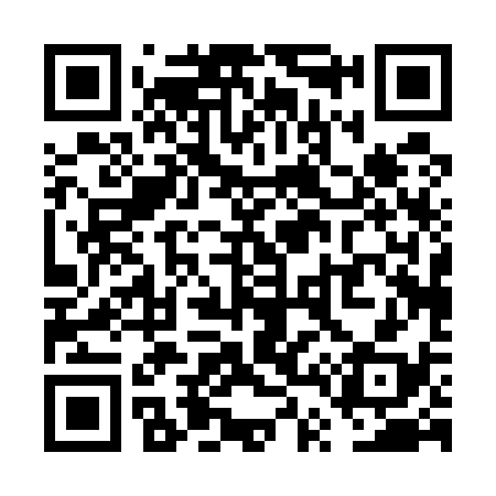 QR code for VT0538