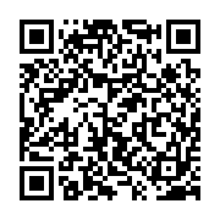 QR code for VT1313