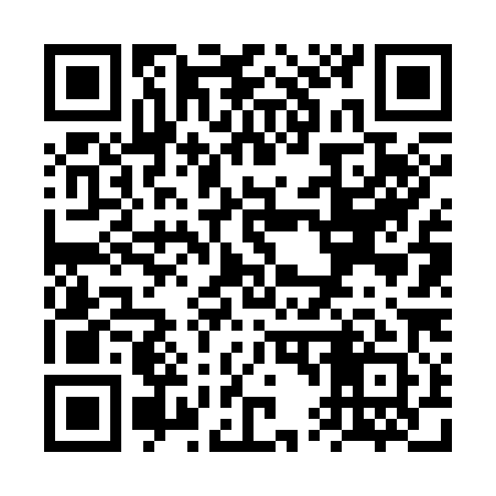 QR code for VT6381