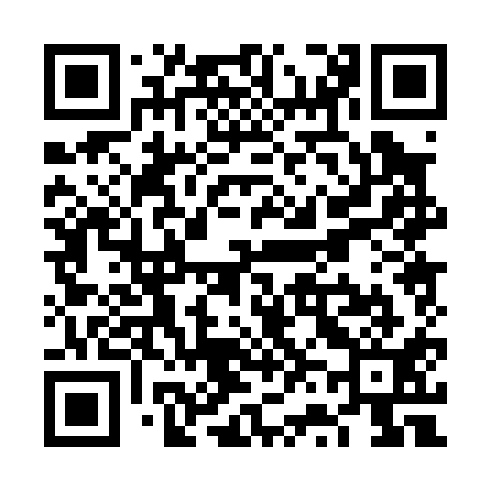 QR code for VV0011