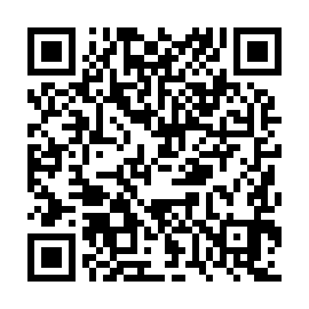 QR code for VV0991