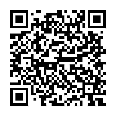 QR code for VV1541